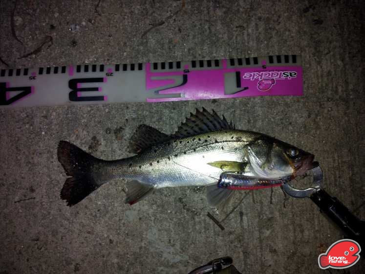 20130414_201538.jpg