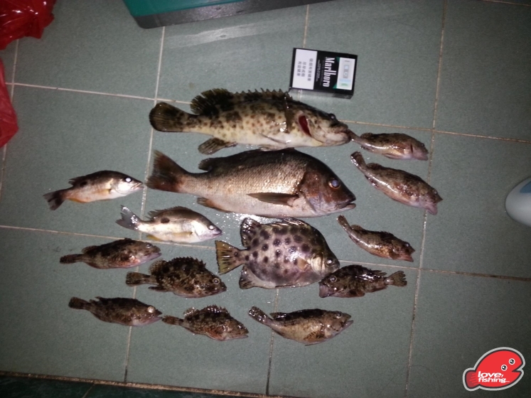 蠔排釣獲
