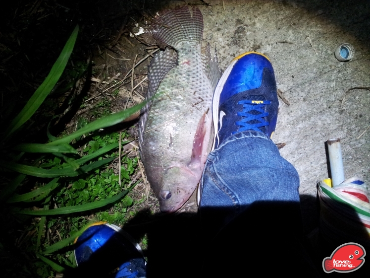 20130420_215903.jpg