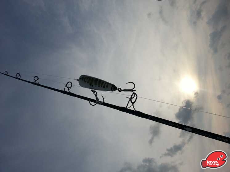 20130401_084921.jpg