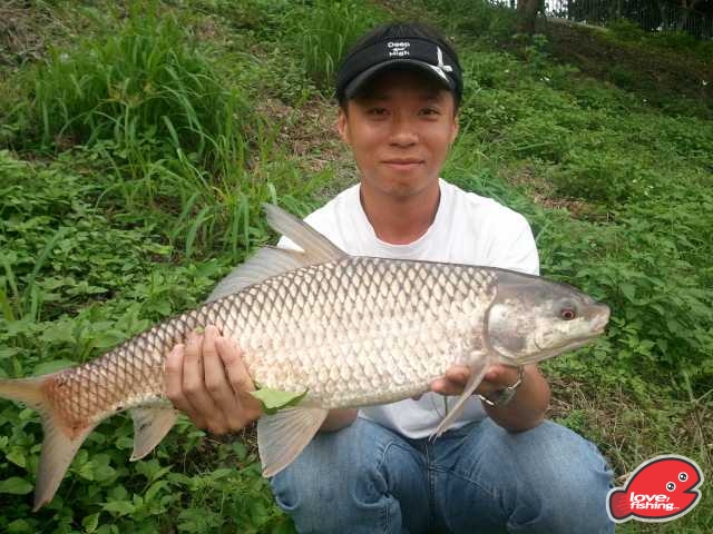 2013-04-28 10.29.06.jpg