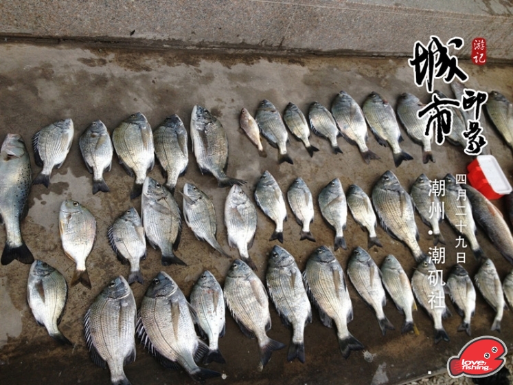 514_388926799_IMG_0464_副本.jpg