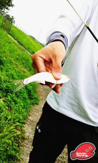 2013-05-01 14.08.38.jpg