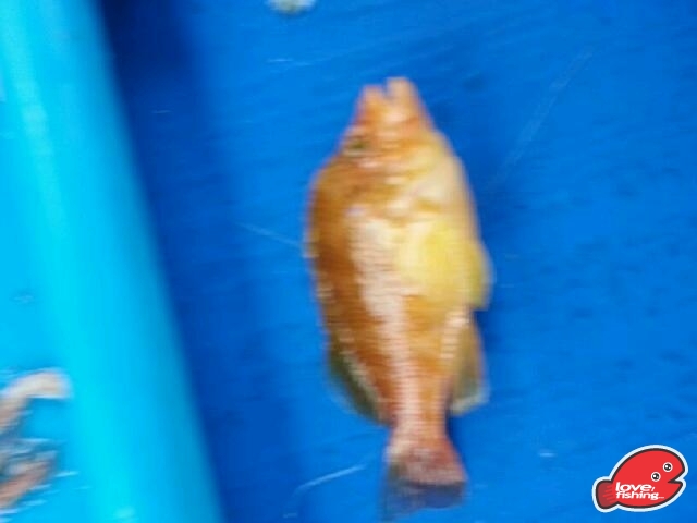 IMG-20130317-WA0000.jpg