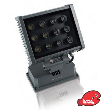 LED.JPG
