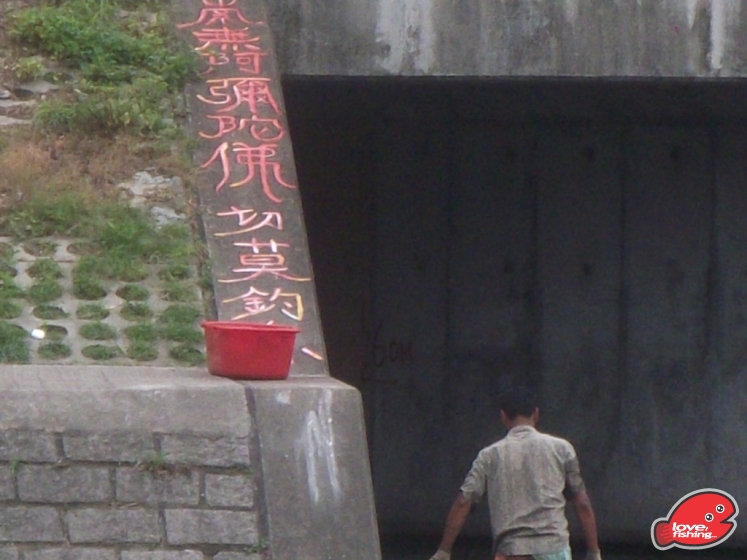 062.JPG