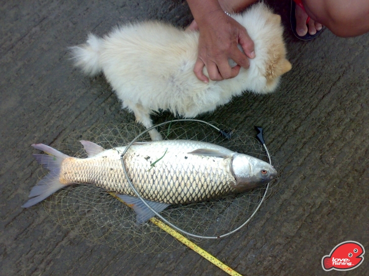 201305122010.jpg