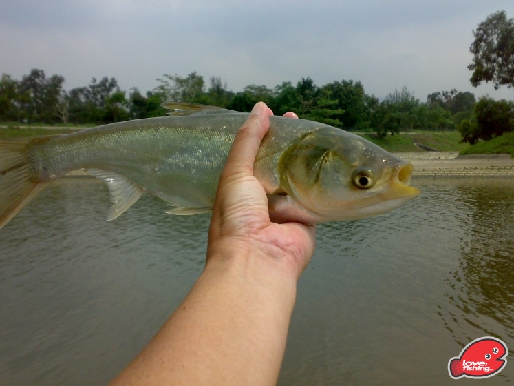 201305112002.jpg