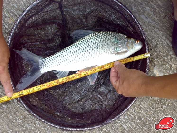 201305112007.jpg