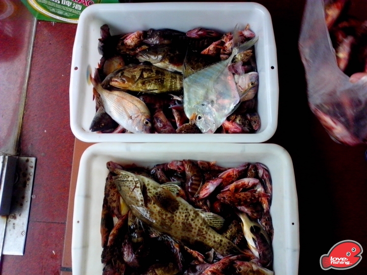 IMG_20130510_163925.jpg