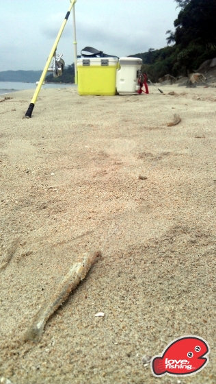 IMAG0988.jpg