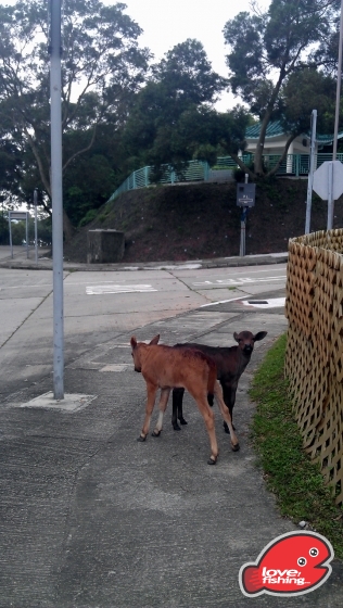 IMAG0992.jpg