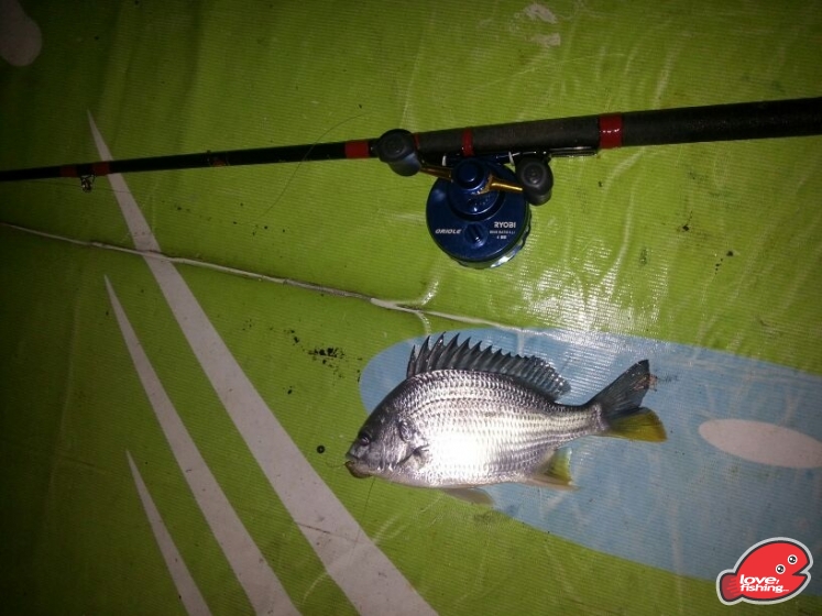 IMG-20130517-WA0011.jpg