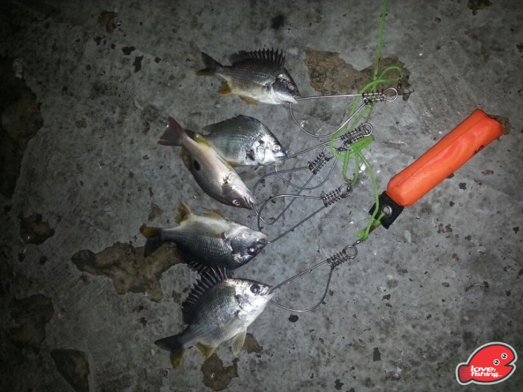 IMG-20130517-WA0012.jpg