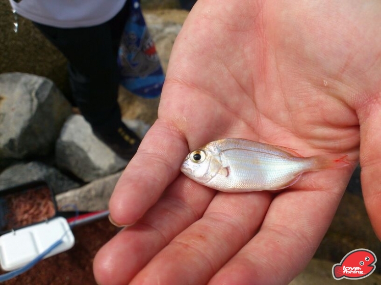 IMG-20130501-WA0000.jpg