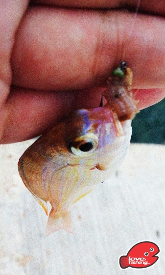 2013-05-19 16.59.22.jpg