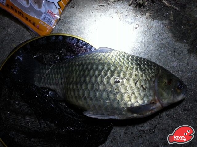 IMG-20130524-WA0004.jpg