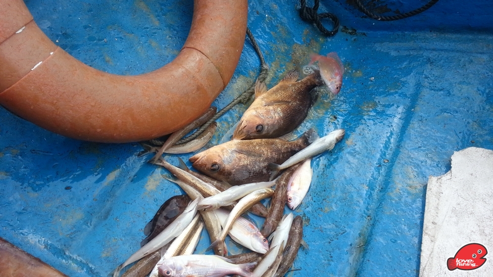20130529_150908.jpg