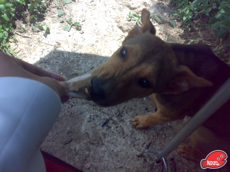 201306012046.jpg