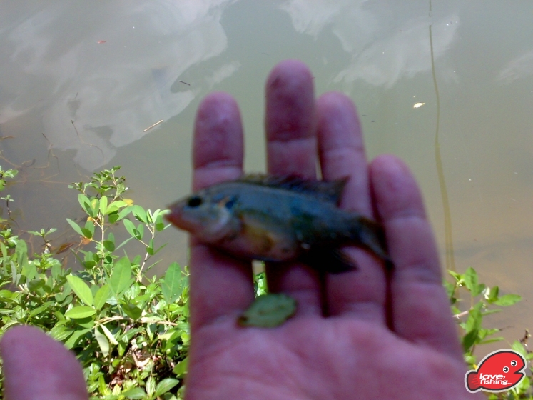 201306012049.jpg