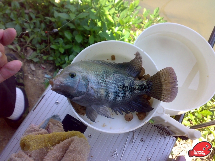 201306012050.jpg