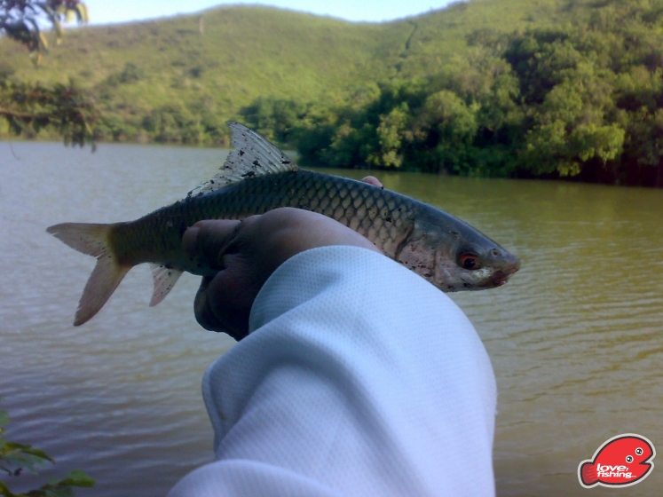 201306012051.jpg