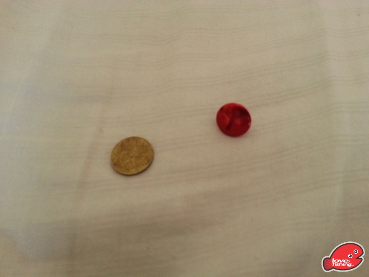 20130604_114037.jpg