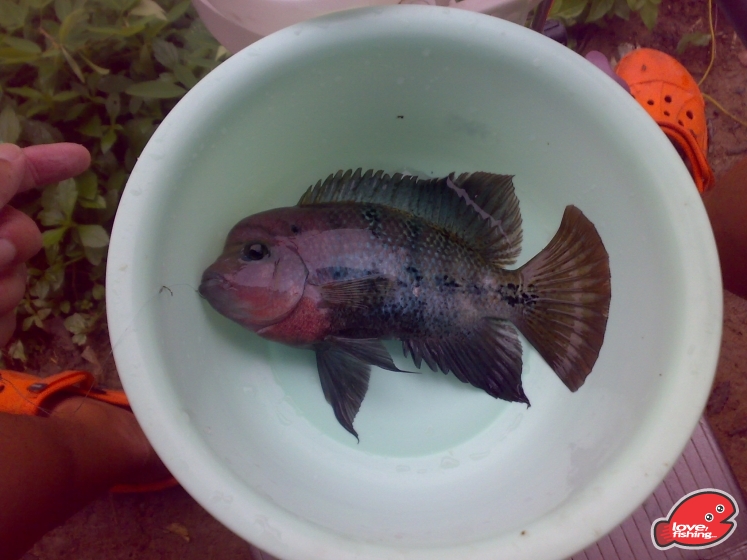 201306062075.jpg
