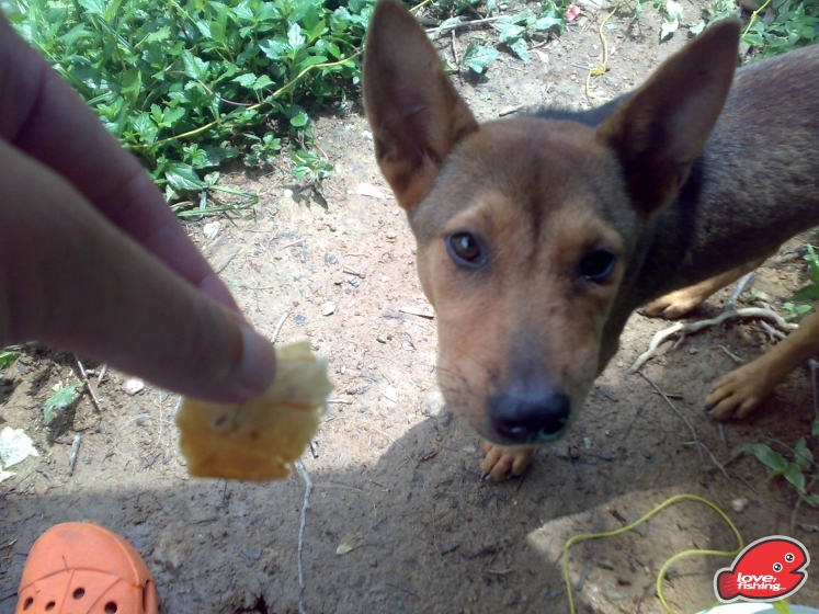 201306062078.jpg