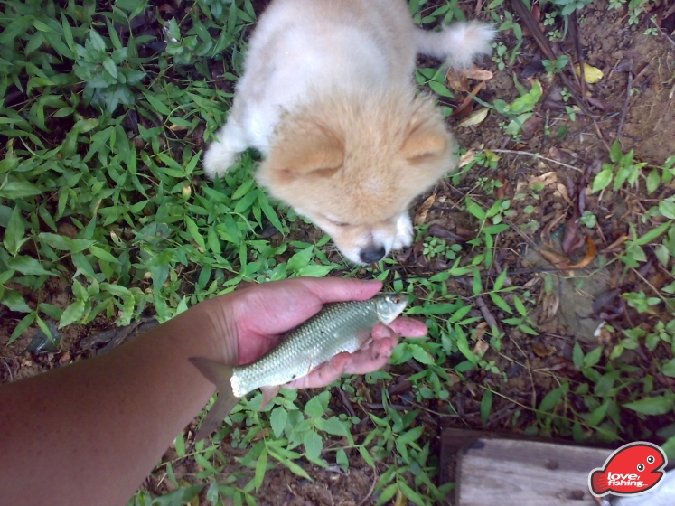 201306062082.jpg