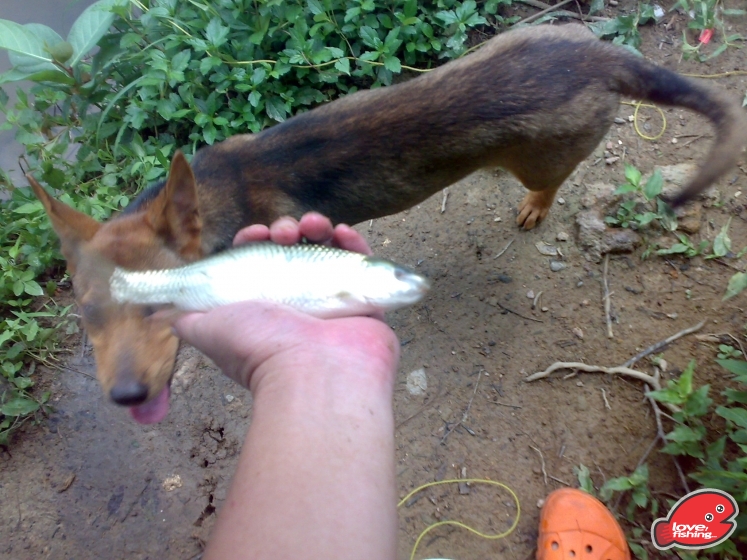201306062083.jpg