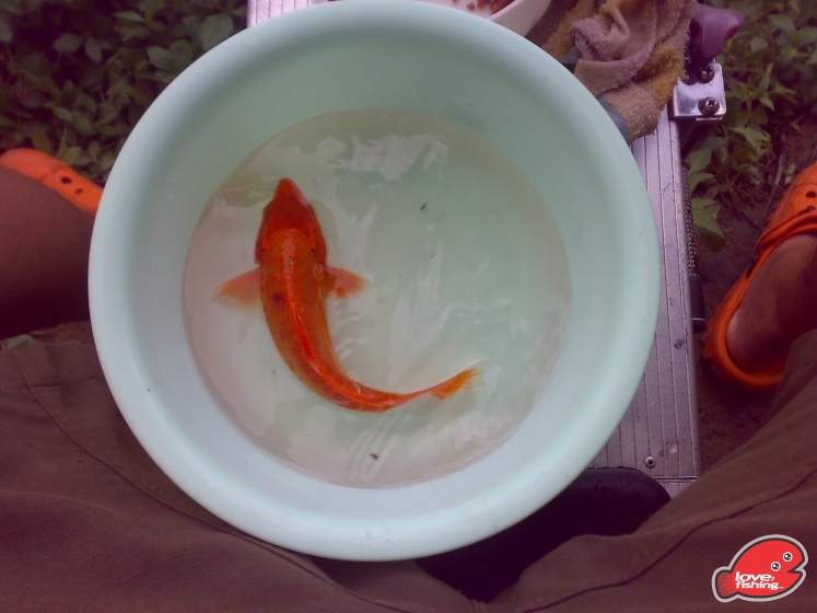 201306062091.jpg