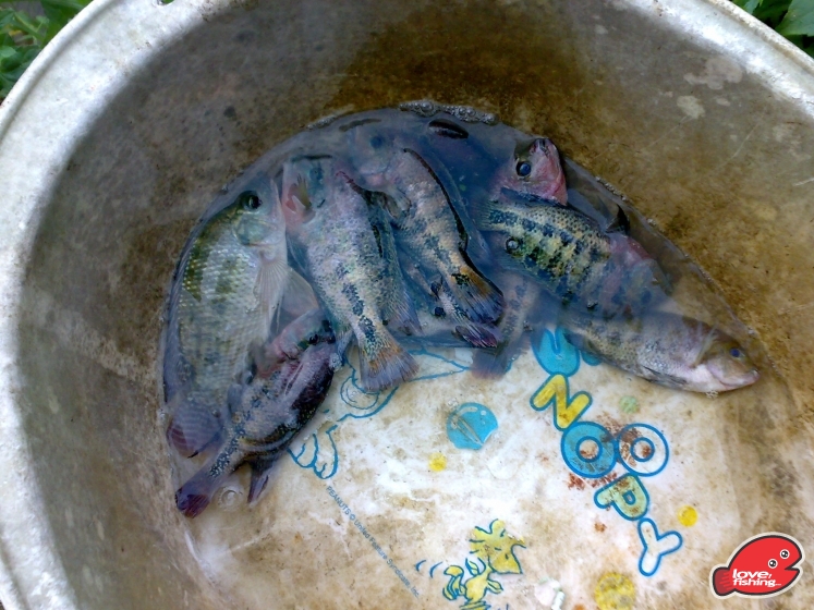 201306062094.jpg