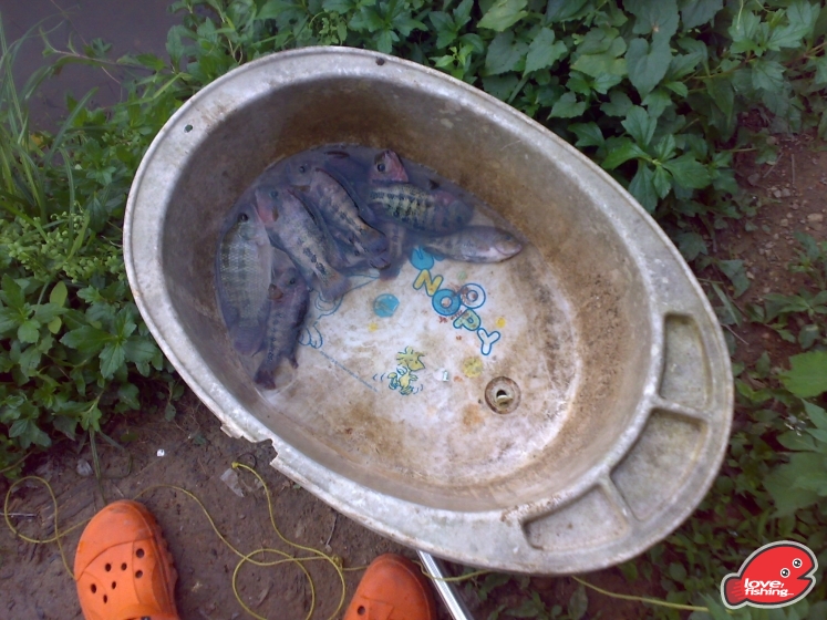201306062095.jpg