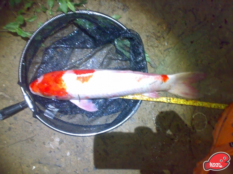 201306062099.jpg