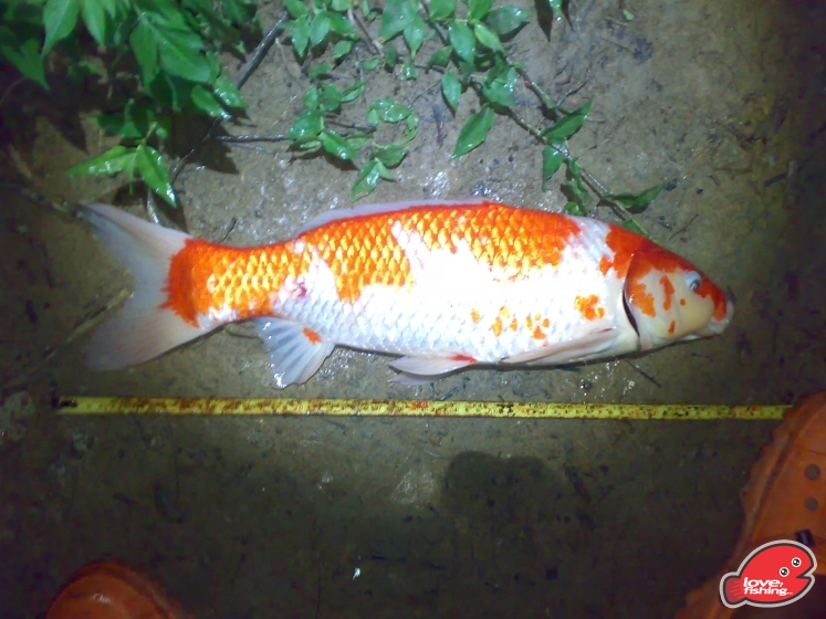 201306062100.jpg