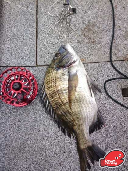 IMG-20130614-WA0007.jpg