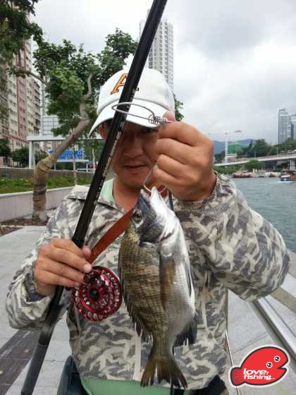 IMG-20130614-WA0004.jpg