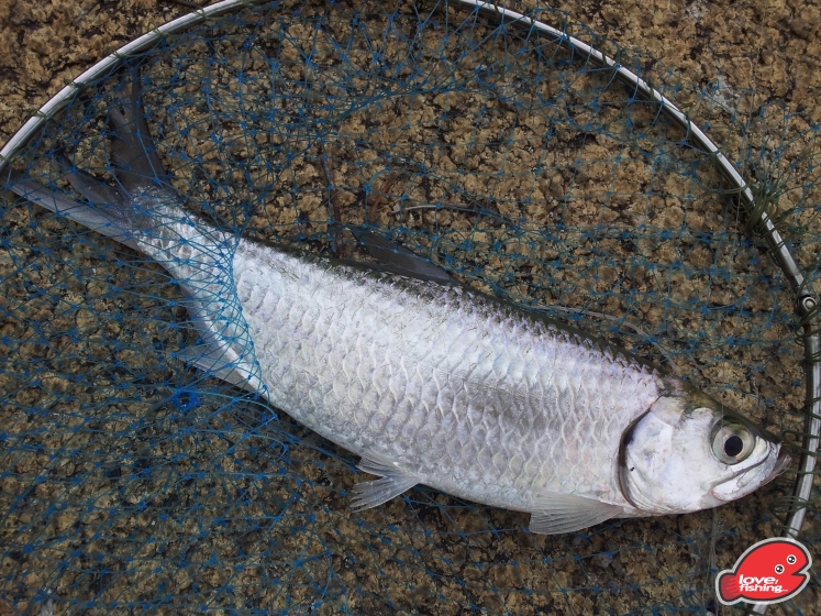 20120923_160604.jpg