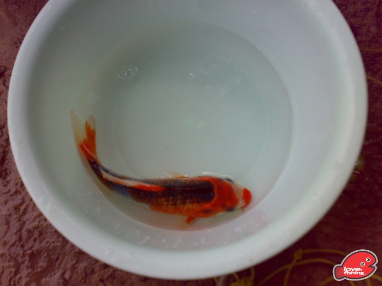 201306162129.jpg