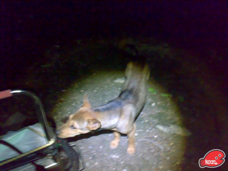 201306162136.jpg