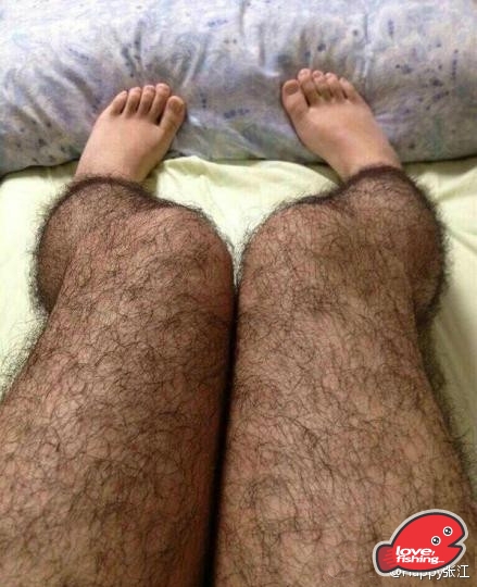 anti-pervert-hairy-stockings-for-girls.jpg