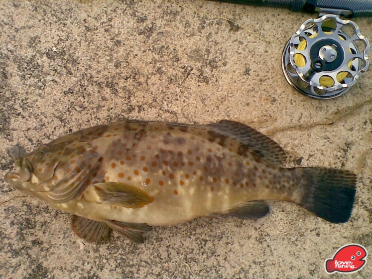 20130616-2.jpg
