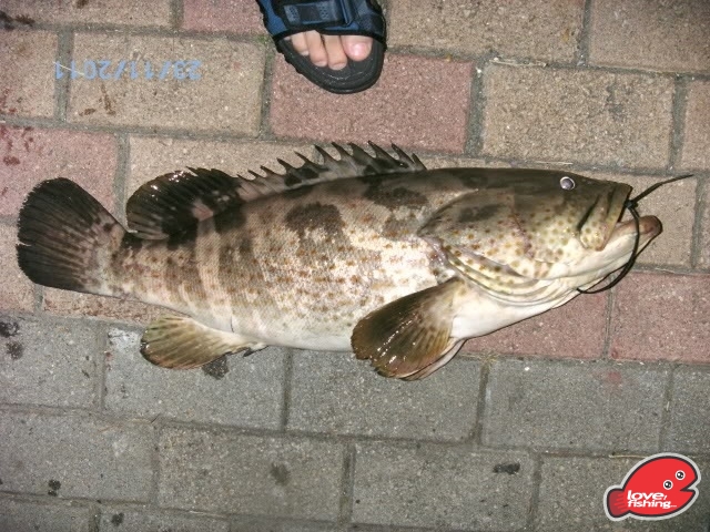 青班4.jpg