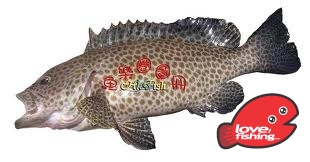 深水芝麻班-2.jpg