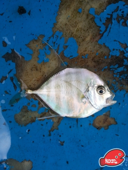 20130626_143756.jpg