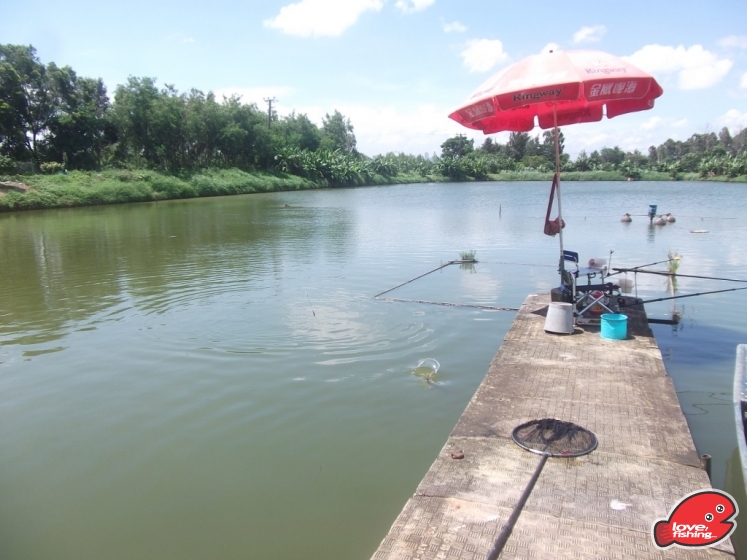 DSCF9108.JPG