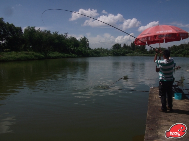 DSCF9132.JPG