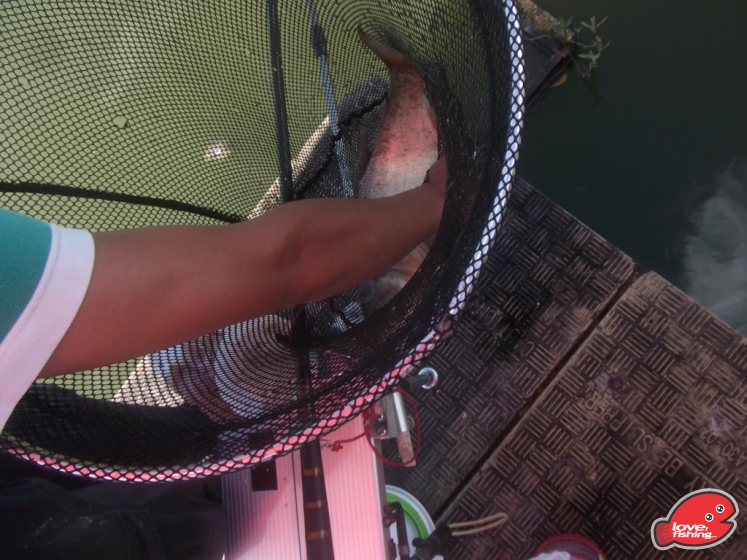 DSCF9149.JPG