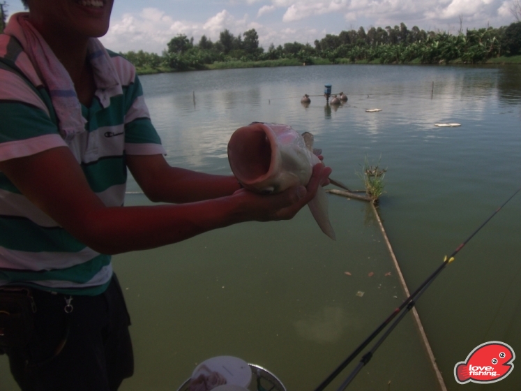 DSCF9150.JPG